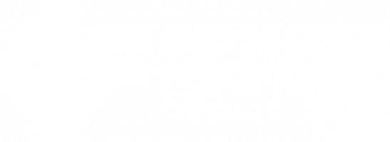 Condes de Aragón